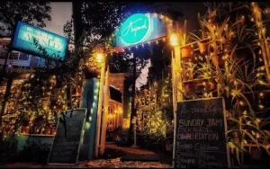 Top Budget Friendly Hostels in North Goa - Anjoned 