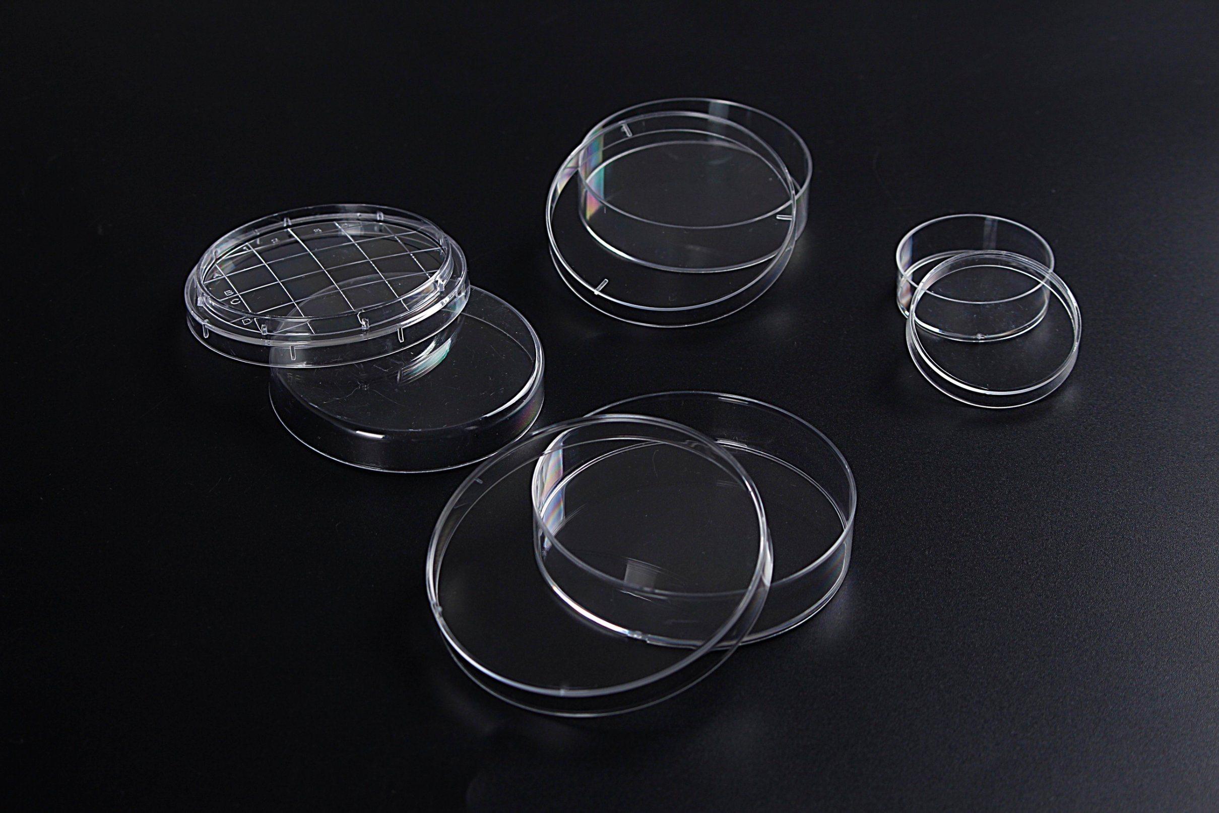 Petri Dish Glass